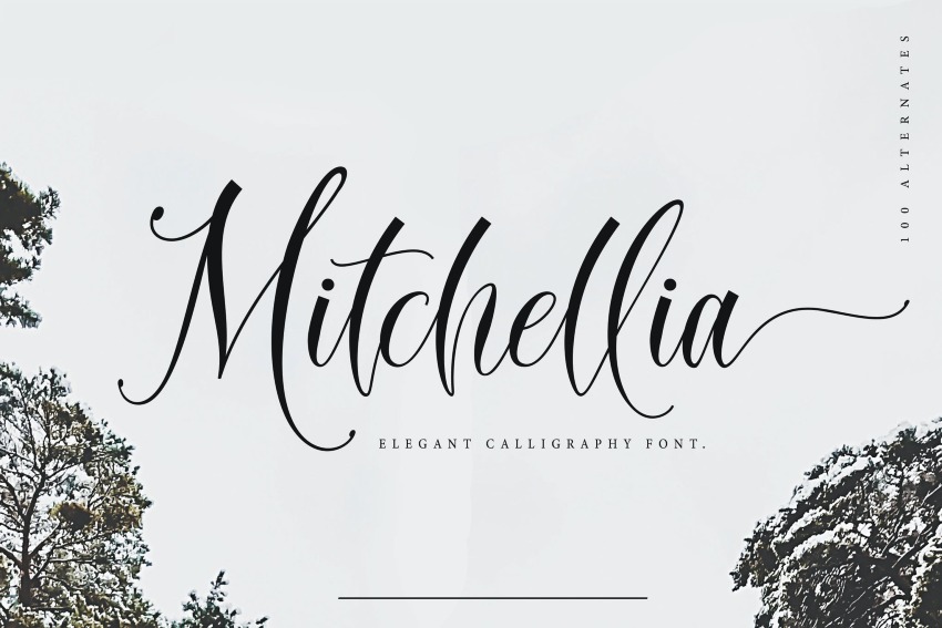 Mitchellia Script Font